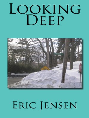 cover image of Looking Deep